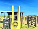 36